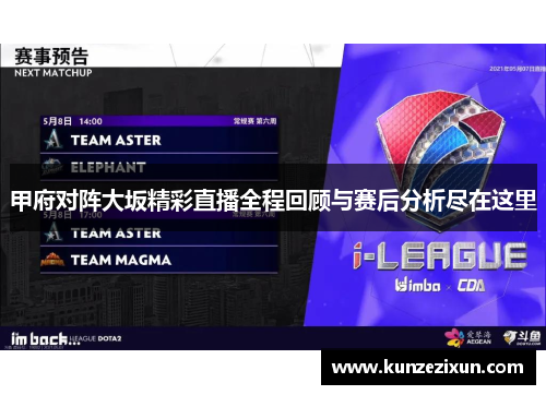 甲府对阵大坂精彩直播全程回顾与赛后分析尽在这里